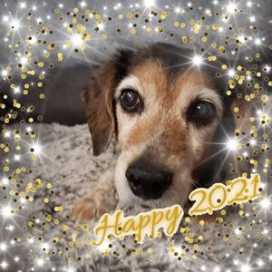 Meet your Posher, Deanne